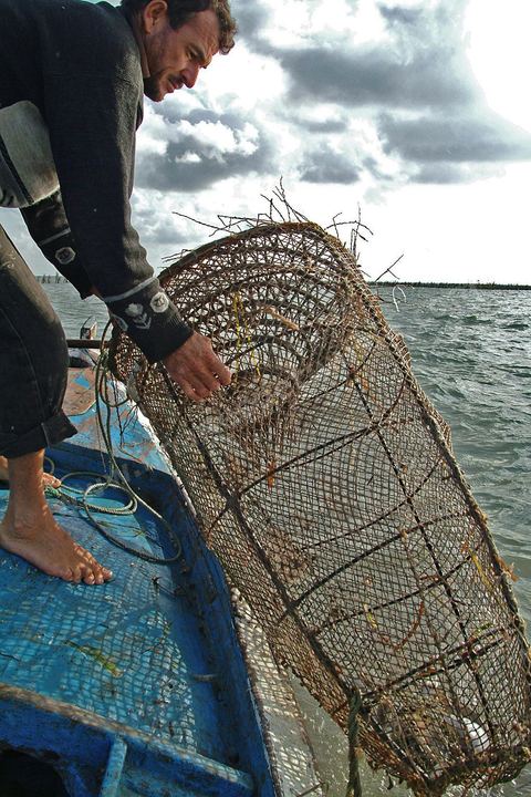Peche traditionnelle dans les pecheries de Mellita - Ile de Djerba
