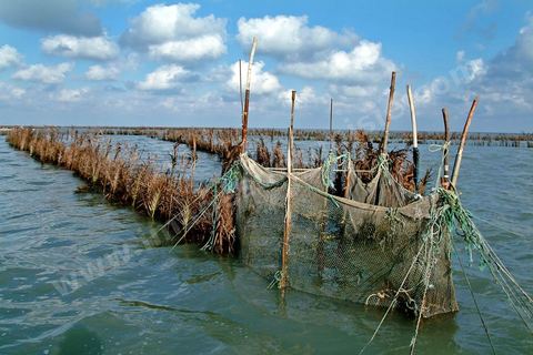 Peche traditionnelle dans les pecheries de Mellita - Ile de Djerba