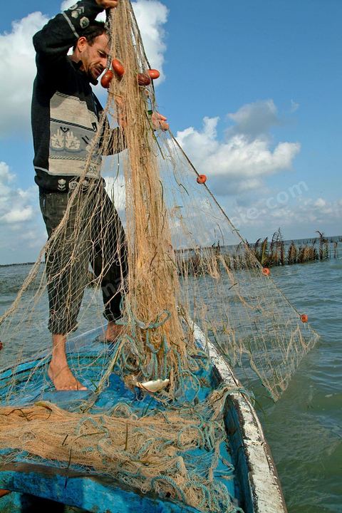 Peche traditionnelle dans les pecheries de Mellita - Ile de Djerba