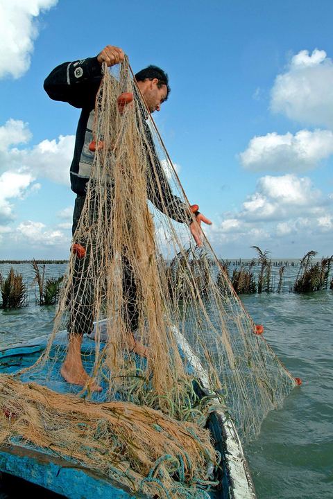 Peche traditionnelle dans les pecheries de Mellita - Ile de Djerba