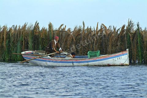 Peche traditionnelle dans les pecheries de Mellita - Ile de Djerba