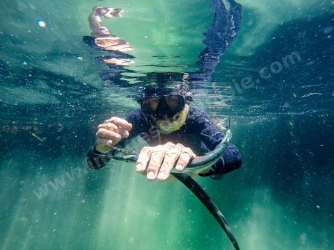 DCIM\101GOPRO