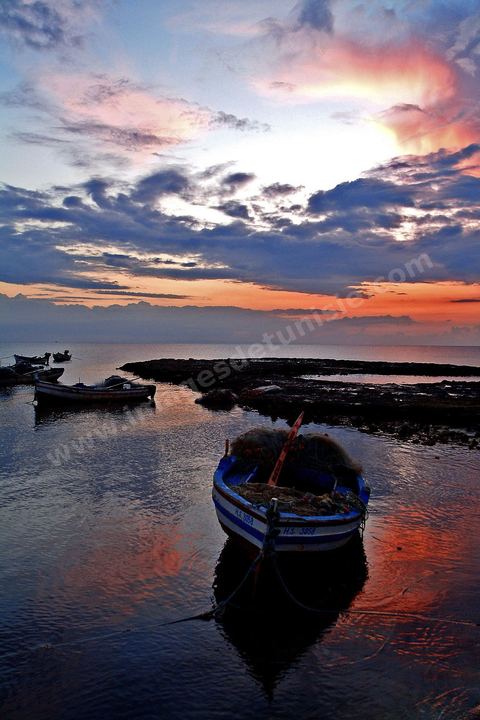 Sidi Jemmour - Ile de Djerba