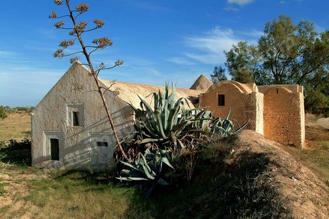 atelier de tissage dans la campagne près de Midoun - Ile de Djerba