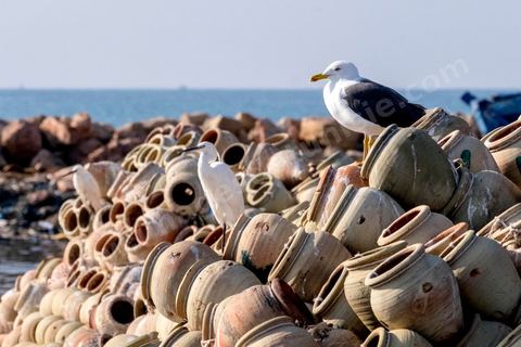 Gargoulettes et mouettes dans le port de pêche de Sfax, la seconde ville du pays et capitale du sud. Grande ville portuaire et industrielle, mais aussi culturelle avec ses remparts, sa medina, ses nombreux monuments historiques et ses musées. 