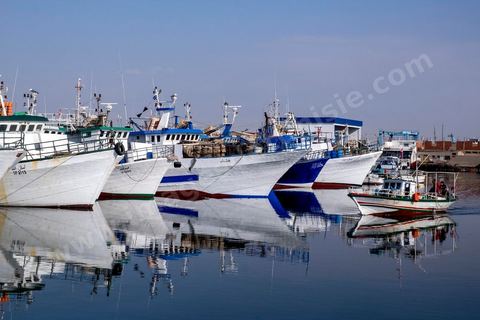 le port de pêche de Sfax, la seconde ville du pays et capitale du sud. Grande ville portuaire et industrielle, mais aussi culturelle avec ses remparts, sa medina, ses nombreux monuments historiques et ses musées. 