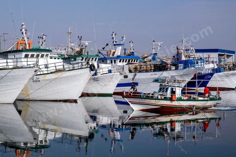 le port de pêche de Sfax, la seconde ville du pays et capitale du sud. Grande ville portuaire et industrielle, mais aussi culturelle avec ses remparts, sa medina, ses nombreux monuments historiques et ses musées. 