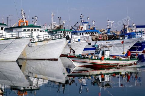 le port de pêche de Sfax, la seconde ville du pays et capitale du sud. Grande ville portuaire et industrielle, mais aussi culturelle avec ses remparts, sa medina, ses nombreux monuments historiques et ses musées. 