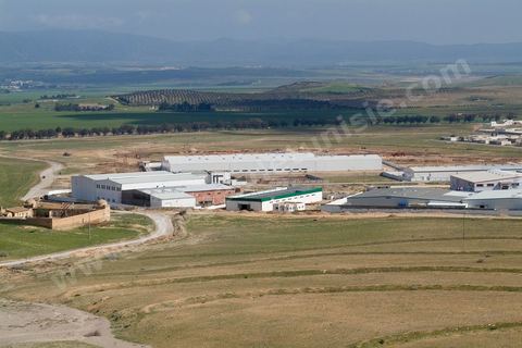 Zone industrielle en développement à Zriba entre Zaghouan et Hammamet - développement de zone industrielle dans les zones rurales.