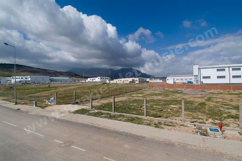 Zone industrielle en développement à Zriba entre Zaghouan et Hammamet - développement de zone industrielle dans les zones rurales.