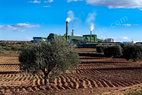 Huilerie moderne industrielle du groupe SLAMA au milieu des oliveraies au sud de Kairouan