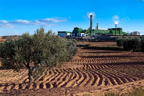 Huilerie moderne industrielle du groupe SLAMA au milieu des oliveraies au sud de Kairouan
