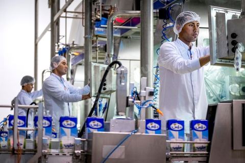 La Centrale Laitière Délice de Sidi-Bouzid. Elle est créée le 13 Juin 2011 et a pour objet la fabrication, le conditionnement et la commercialisation du lait et dérivés, et la production et vente de tout produit agroalimentaire.  Elle est entrée en production courant le mois d’Avril 2014.