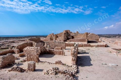 Thyna – l’antique Thaenae – est l’un des principaux sites archéologiques de la région de Sfax, situé à une douzaine de kilomètres au sud de la ville, sur le littoral tunisien. Ancienne cité punique, elle passe sous domination numide après la chute de Carthage en 146 av. J.-C., puis devient romaine en 46 av. J.-C. Élevée au rang de colonie au IIᵉ siècle, Thaenae connaît une importante prospérité durant l’époque romaine et reste occupée jusqu’à l’Antiquité tardive. Au IVᵉ siècle, la ville est protégée par une imposante enceinte de près de trois kilomètres, ponctuée de 84 tours et de trois portes. Aujourd’hui, le site conserve notamment les vestiges de ses remparts, de plusieurs établissements thermaux, dont les Thermes des Mois, de maisons antiques comme la Maison de Dionysos, ainsi que de vastes ensembles funéraires et nécropoles. Encore largement inexplorée, Thaenae fait aujourd’hui l’objet de nouvelles campagnes de recherches archéologiques et de valorisation.