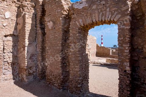 Thyna – l’antique Thaenae – est l’un des principaux sites archéologiques de la région de Sfax, situé à une douzaine de kilomètres au sud de la ville, sur le littoral tunisien. Ancienne cité punique, elle passe sous domination numide après la chute de Carthage en 146 av. J.-C., puis devient romaine en 46 av. J.-C. Élevée au rang de colonie au IIᵉ siècle, Thaenae connaît une importante prospérité durant l’époque romaine et reste occupée jusqu’à l’Antiquité tardive. Au IVᵉ siècle, la ville est protégée par une imposante enceinte de près de trois kilomètres, ponctuée de 84 tours et de trois portes. Aujourd’hui, le site conserve notamment les vestiges de ses remparts, de plusieurs établissements thermaux, dont les Thermes des Mois, de maisons antiques comme la Maison de Dionysos, ainsi que de vastes ensembles funéraires et nécropoles. Encore largement inexplorée, Thaenae fait aujourd’hui l’objet de nouvelles campagnes de recherches archéologiques et de valorisation.