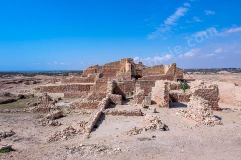 Thyna – l’antique Thaenae – est l’un des principaux sites archéologiques de la région de Sfax, situé à une douzaine de kilomètres au sud de la ville, sur le littoral tunisien. Ancienne cité punique, elle passe sous domination numide après la chute de Carthage en 146 av. J.-C., puis devient romaine en 46 av. J.-C. Élevée au rang de colonie au IIᵉ siècle, Thaenae connaît une importante prospérité durant l’époque romaine et reste occupée jusqu’à l’Antiquité tardive. Au IVᵉ siècle, la ville est protégée par une imposante enceinte de près de trois kilomètres, ponctuée de 84 tours et de trois portes. Aujourd’hui, le site conserve notamment les vestiges de ses remparts, de plusieurs établissements thermaux, dont les Thermes des Mois, de maisons antiques comme la Maison de Dionysos, ainsi que de vastes ensembles funéraires et nécropoles. Encore largement inexplorée, Thaenae fait aujourd’hui l’objet de nouvelles campagnes de recherches archéologiques et de valorisation.
