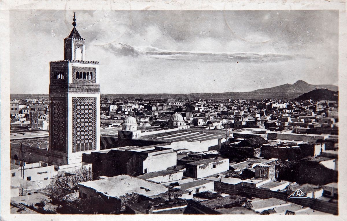 P02-104