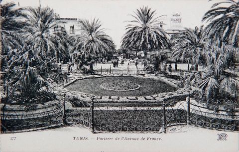 Tunis - Parterre de l'avenue de France - Carte postale ancienne Tunisie