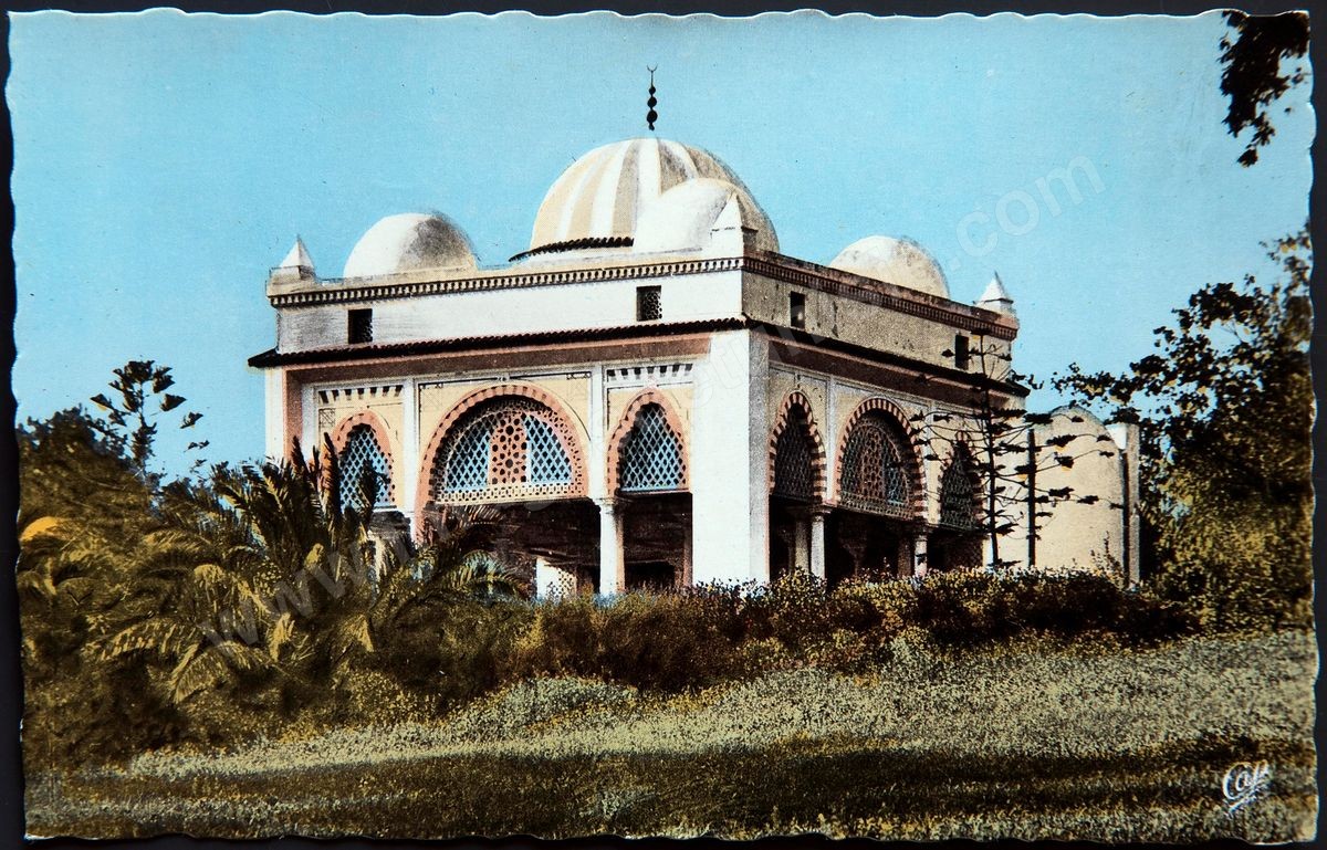 P04-003