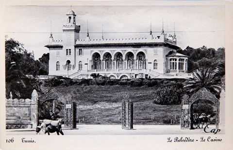 Entrée du parc du Belvédère et casino du Belvédère à Tunis - Carte postale ancienne Tunisie