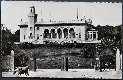 Entrée du parc du Belvédère et casino du Belvédère à Tunis - Carte postale ancienne Tunisie