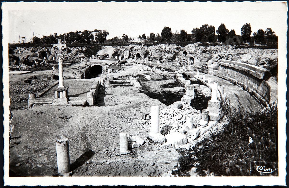 P02-117