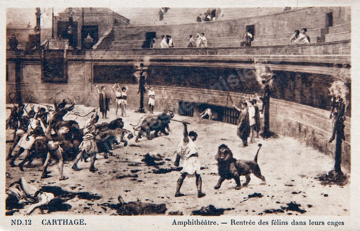 P02-118