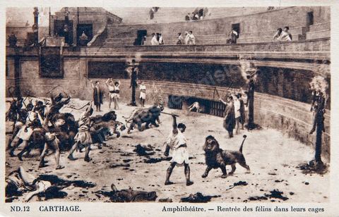 L'amphithéâtre romain de Carthage - Carte postale ancienne Tunisie