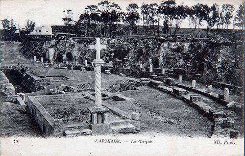 L'amphithéâtre romain de Carthage - Carte postale ancienne Tunisie