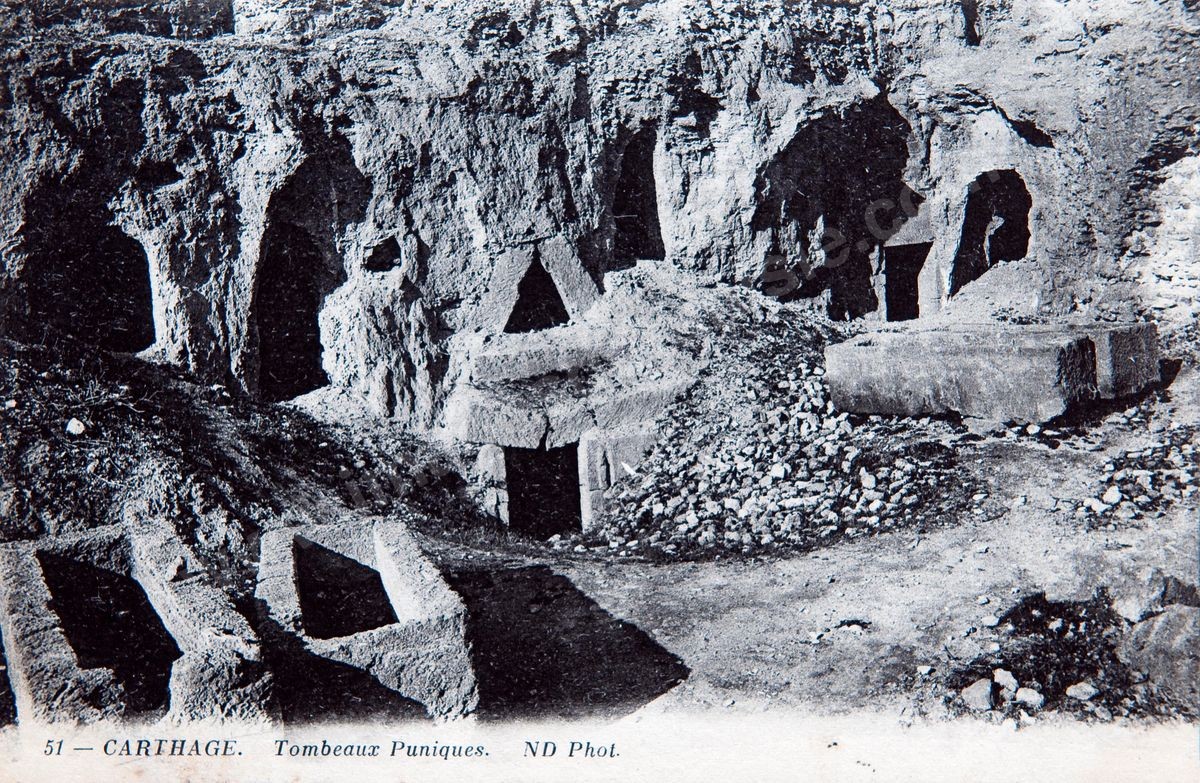 P02-146