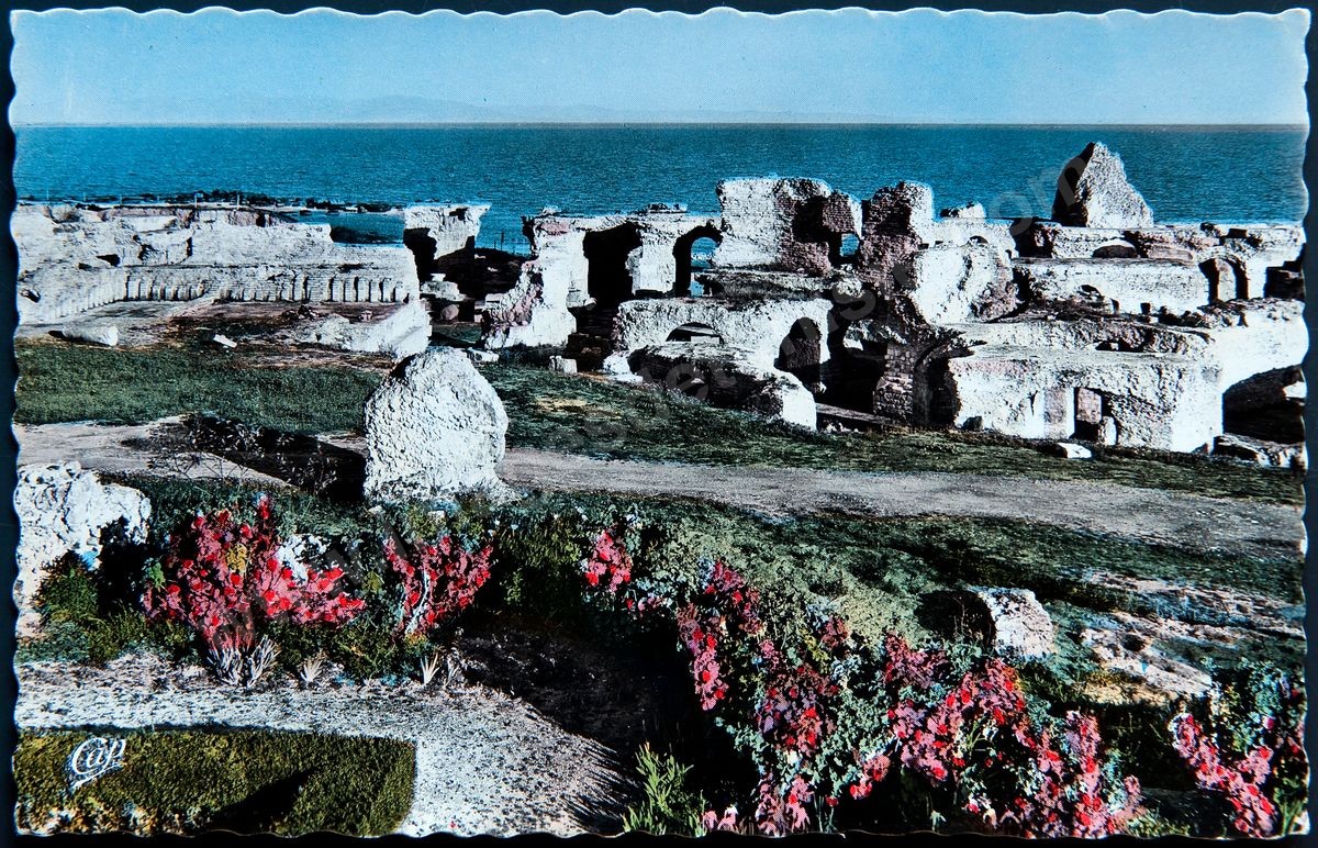 P02-159