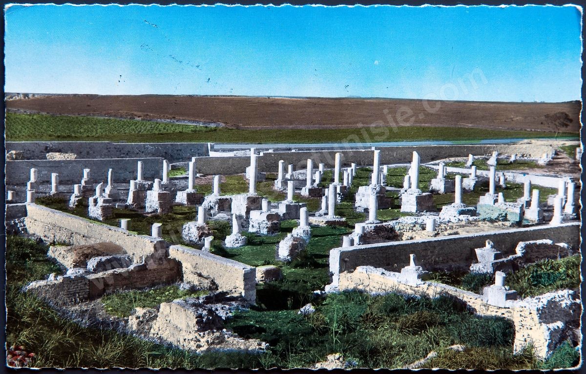 P02-162