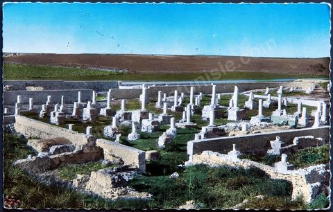 Basilique Damous El Karita à Carthage - 1963 - Carte postale ancienne Tunisie