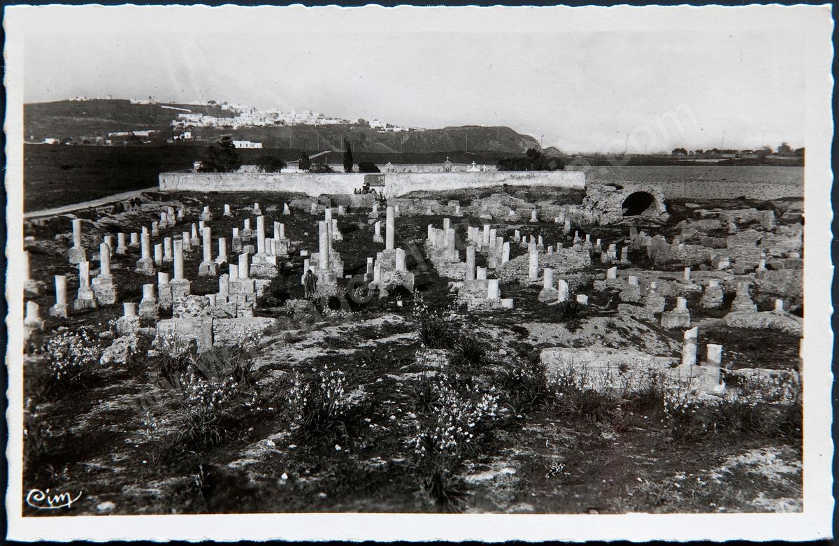 P02-167