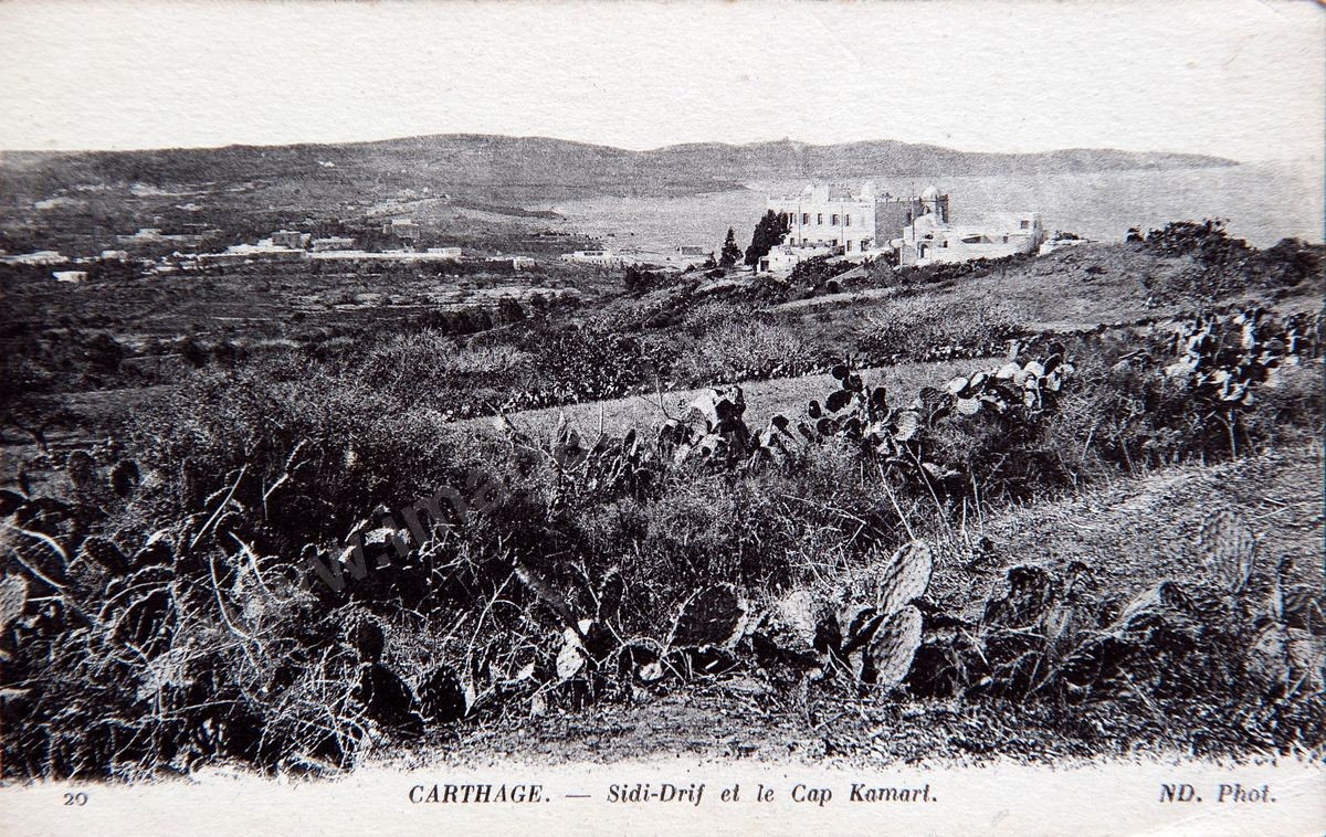 P02-173