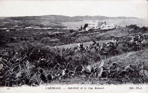 Sidi Drif et le Cap Kamart ( Gammarth ) vue depuis Carthage - Carte postale ancienne Tunisie