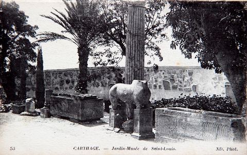 jardin du musée archéologique Saint Louis sur la colline Byrsa de Carthage - Carte postale ancienne Tunisie