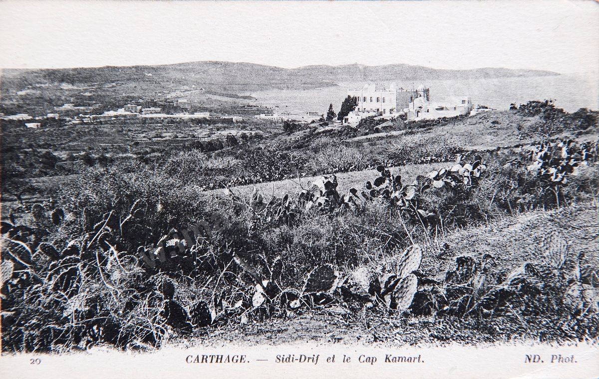 P02-193