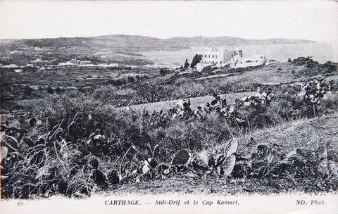 Carthage - Sidi-Drif et le Cap Kamart- Carte postale ancienne Tunisie