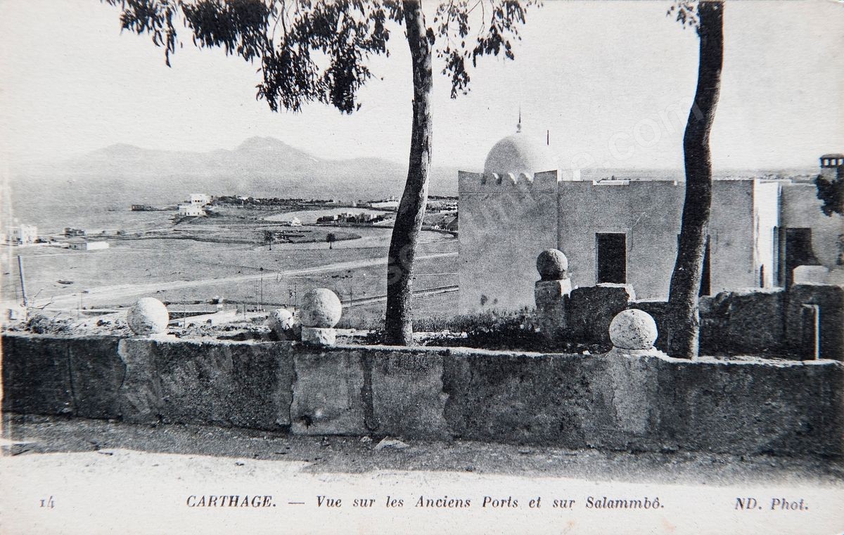 P02-203