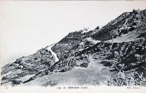 Cap de Sidi Bou Saïd - Carte postale ancienne Tunisie