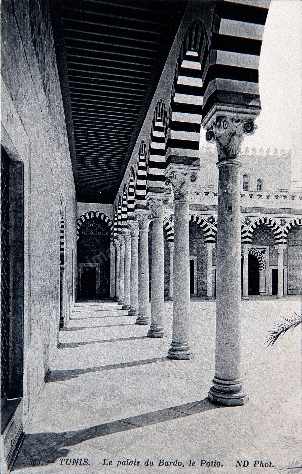 P006-019