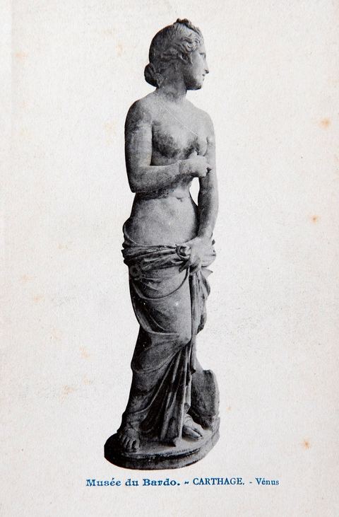 Statue de Vénus au musée du Bardo à Tunis - Carte postale ancienne Tunisie