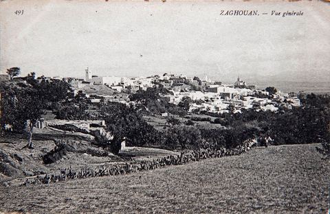 Vue générale de la ville de Zaghouan - Carte postale ancienne Tunisie