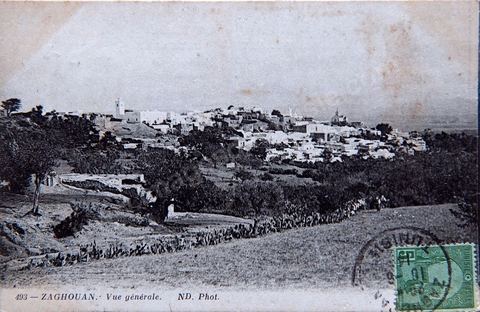 Vue générale de la ville de Zaghouan 1914 - Carte postale ancienne Tunisie