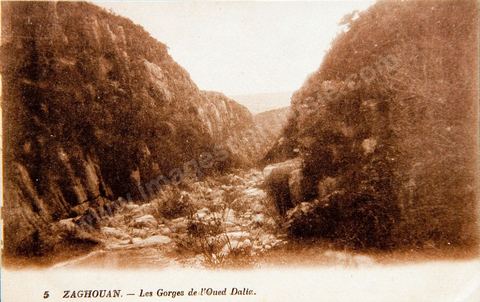 Les Gorges de l'Oued Dalia à Zaghouan 1922 - Carte postale ancienne Tunisie