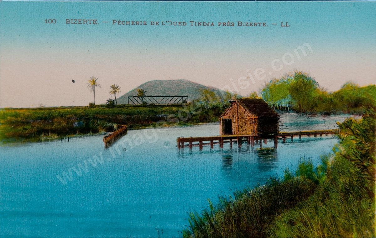 P030-016