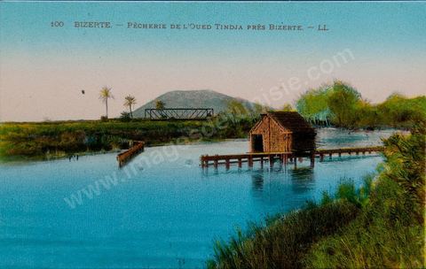 Pecherie de l'oued Tindja près de Bizerte - Carte postale ancienne Tunisie