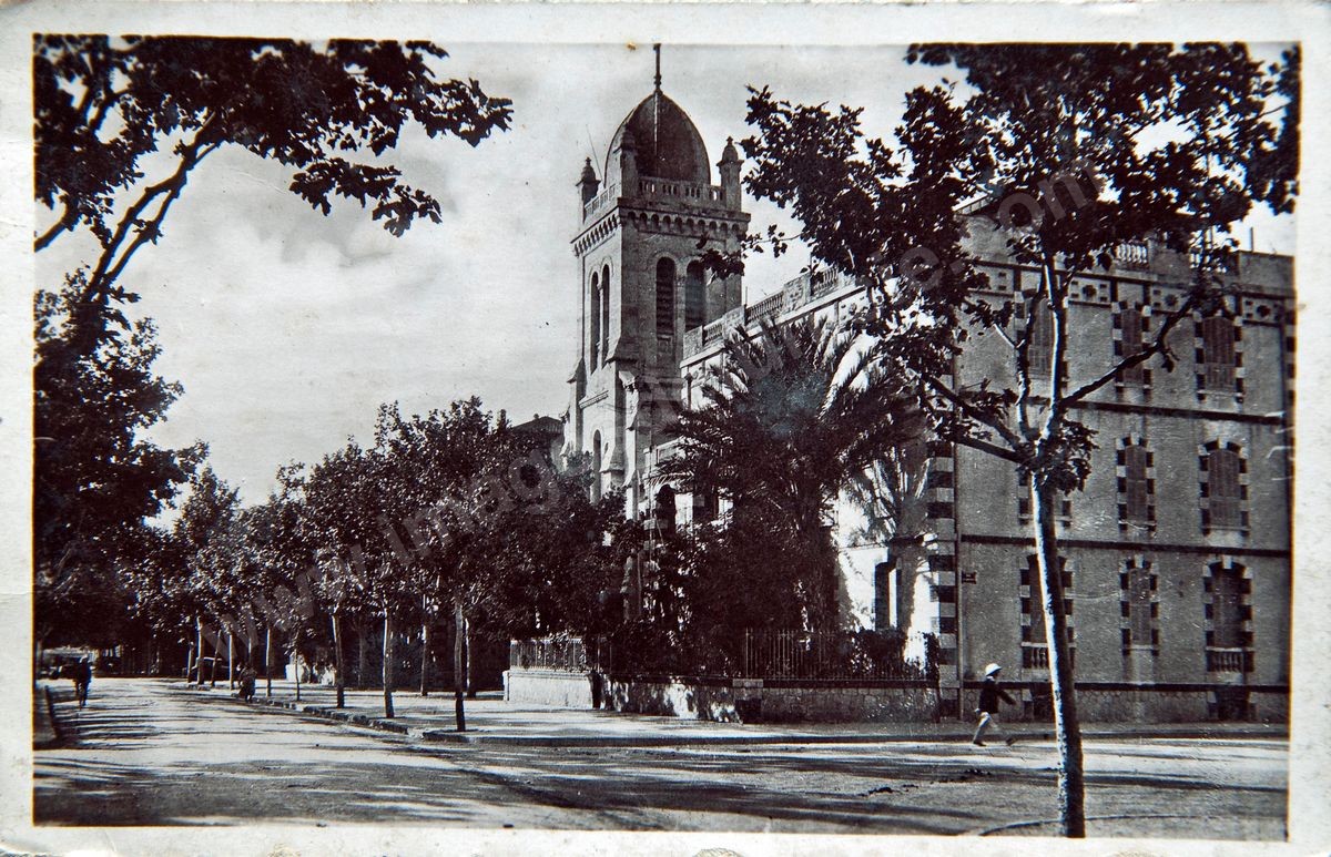 P030-081