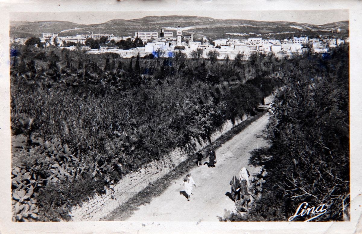 P030-082